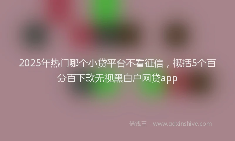 2025年热门哪个小贷平台不看征信，概括5个百分百下款无视黑白户网贷app