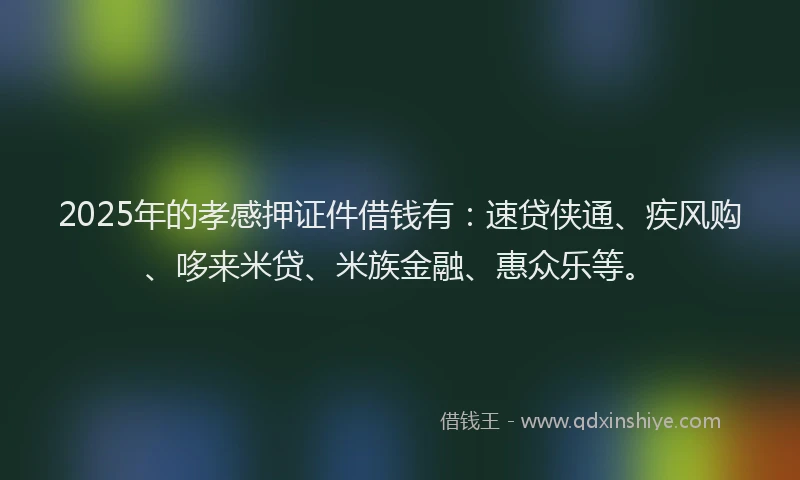 2025年的孝感押证件借钱有：速贷侠通、疾风购、哆来米贷、米族金融、惠众乐等。