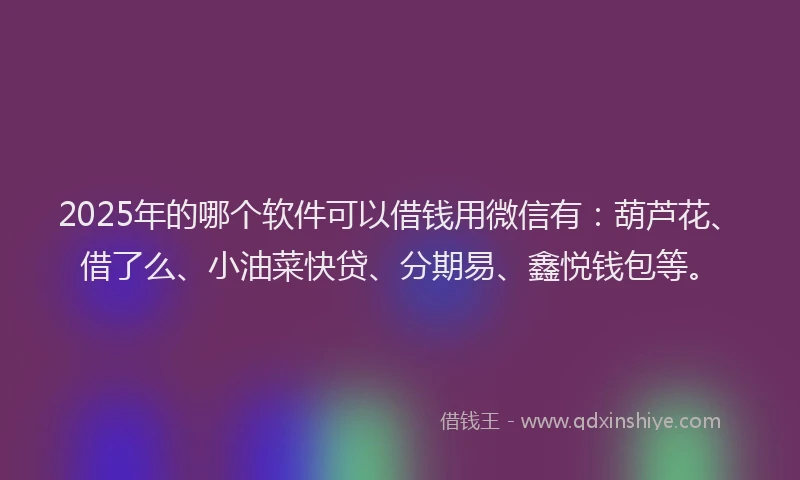 2025年的哪个软件可以借钱用微信有：葫芦花、借了么、小油菜快贷、分期易、鑫悦钱包等。