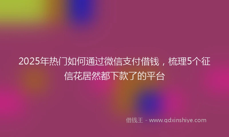 2025年热门如何通过微信支付借钱，梳理5个征信花居然都下款了的平台