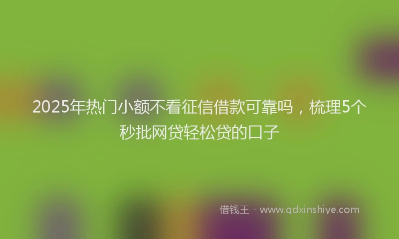 2025年热门小额不看征信借款可靠吗，梳理5个秒批网贷轻松贷的口子