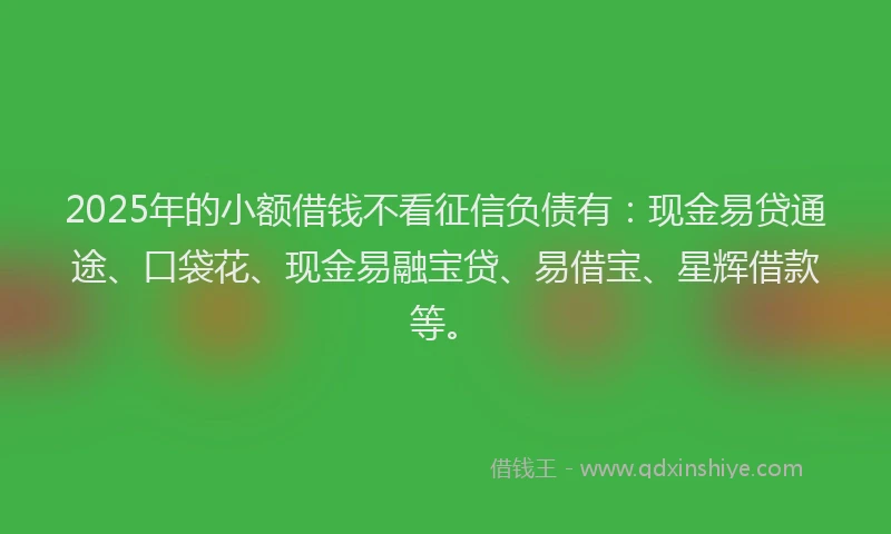 2025年的小额借钱不看征信负债有:现金易贷通途、口袋花、现金易融宝贷、易借宝、星辉借款等。