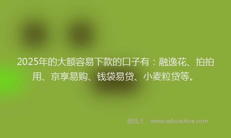 2025年的大额容易下款的口子有：融逸花、拍拍用、京享易购、钱袋易贷、小麦粒贷等。