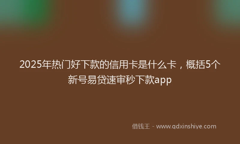 2025年热门好下款的信用卡是什么卡，概括5个新号易贷速审秒下款app