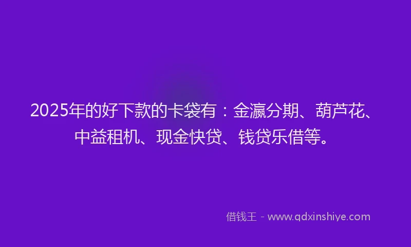 2025年的好下款的卡袋有：金瀛分期、葫芦花、中益租机、现金快贷、钱贷乐借等。