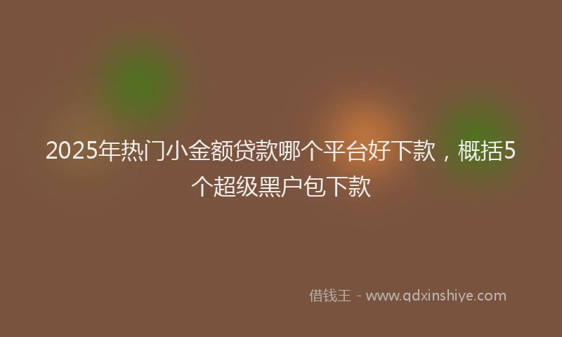 2025年热门小金额贷款哪个平台好下款，概括5个超级黑户包下款