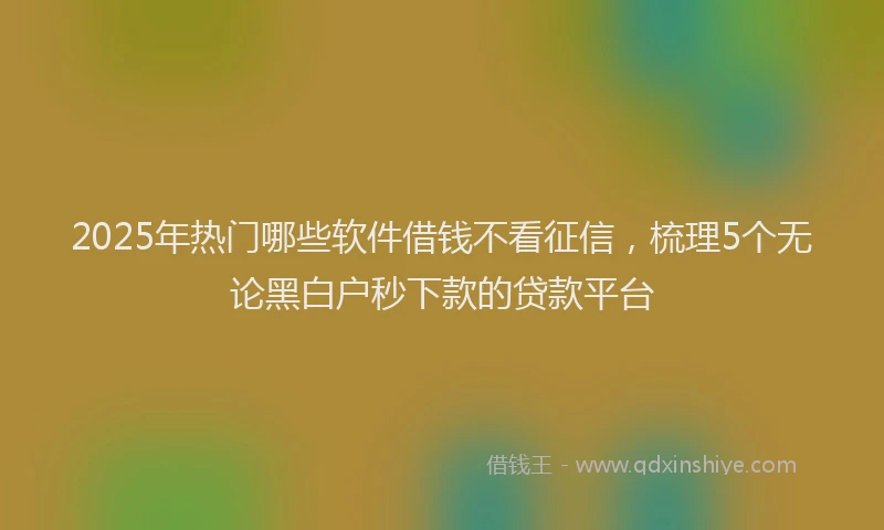 2025年热门哪些软件借钱不看征信，梳理5个无论黑白户秒下款的贷款平台