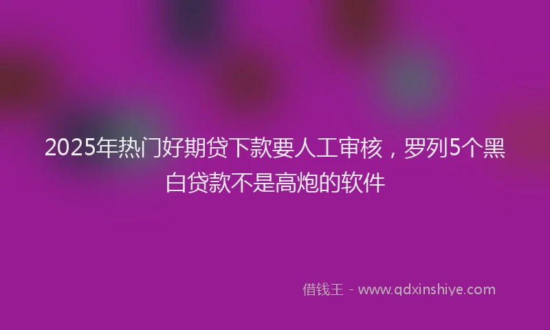 2025年热门好期贷下款要人工审核，罗列5个黑白贷款不是高炮的软件