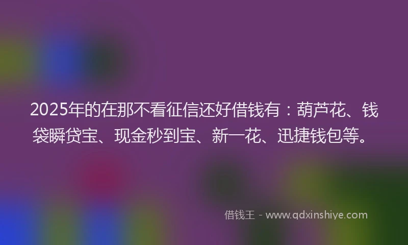 2025年的在那不看征信还好借钱有：葫芦花、钱袋瞬贷宝、现金秒到宝、新一花、迅捷钱包等。