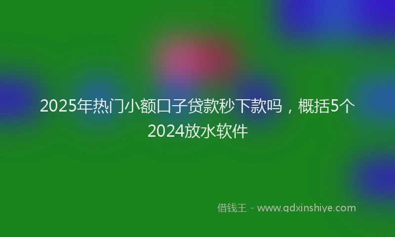2025年热门小额口子贷款秒下款吗，概括5个2024放水软件