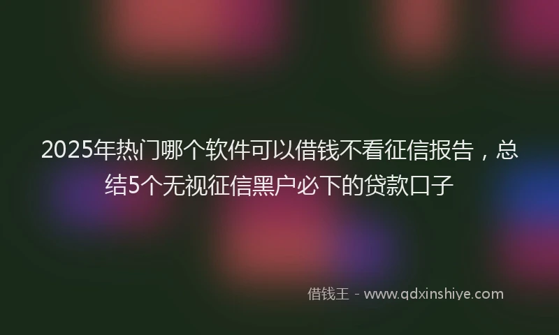2025年热门哪个软件可以借钱不看征信报告，总结5个无视征信黑户必下的贷款口子