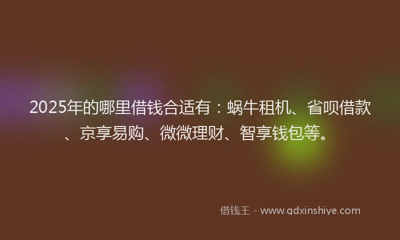 2025年的哪里借钱合适有：蜗牛租机、省呗借款、京享易购、微微理财、智享钱包等。