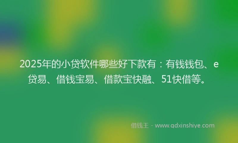 2025年的小贷软件哪些好下款有：有钱钱包、e贷易、借钱宝易、借款宝快融、51快借等。