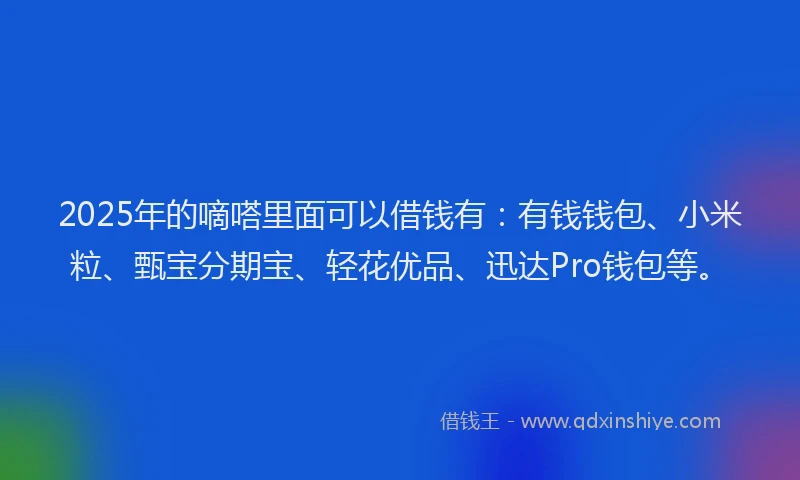 2025年的嘀嗒里面可以借钱有：有钱钱包、小米粒、甄宝分期宝、轻花优品、迅达Pro钱包等。