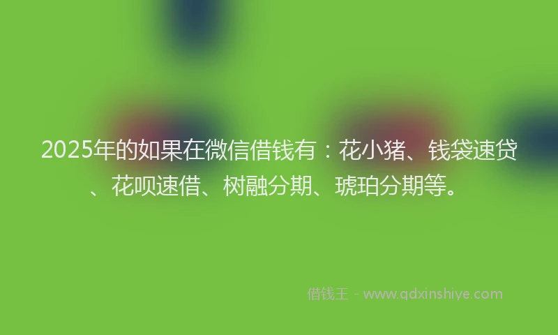 2025年的如果在微信借钱有：花小猪、钱袋速贷、花呗速借、树融分期、琥珀分期等。