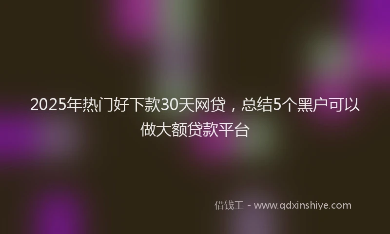2025年热门好下款30天网贷，总结5个黑户可以做大额贷款平台