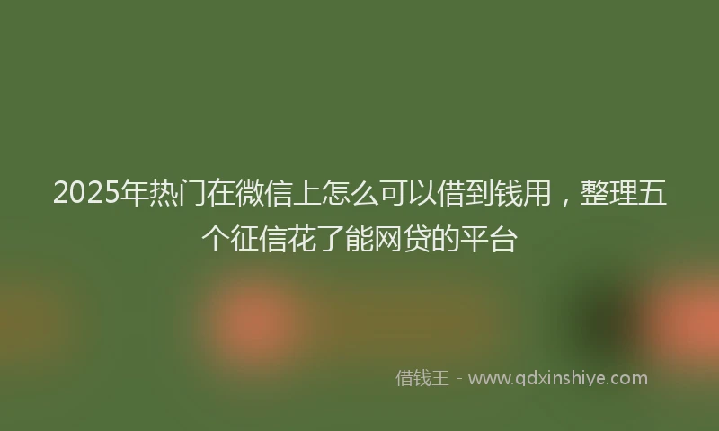 2025年热门在微信上怎么可以借到钱用，整理五个征信花了能网贷的平台