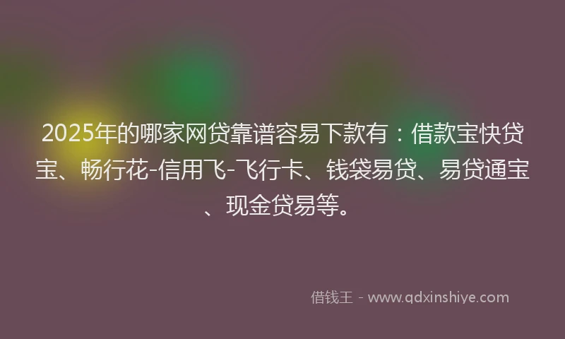 2025年的哪家网贷靠谱容易下款有：借款宝快贷宝、畅行花-信用飞-飞行卡、钱袋易贷、易贷通宝、现金贷易等。