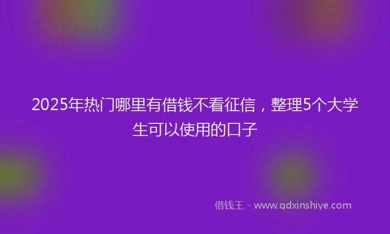 2025年热门哪里有借钱不看征信，整理5个大学生可以使用的口子
