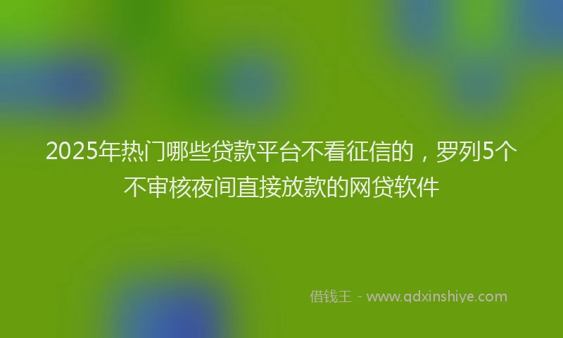 2025年热门哪些贷款平台不看征信的，罗列5个不审核夜间直接放款的网贷软件