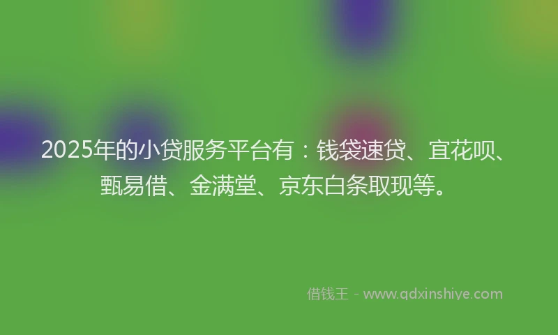 2025年的小贷服务平台有：钱袋速贷、宜花呗、甄易借、金满堂、京东白条取现等。