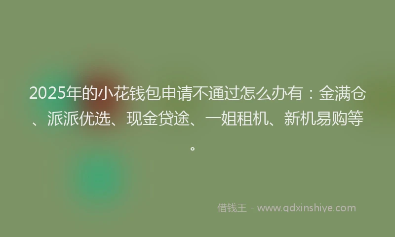 2025年的小花钱包申请不通过怎么办有:金满仓、派派优选、现金贷途、一姐租机、新机易购等。