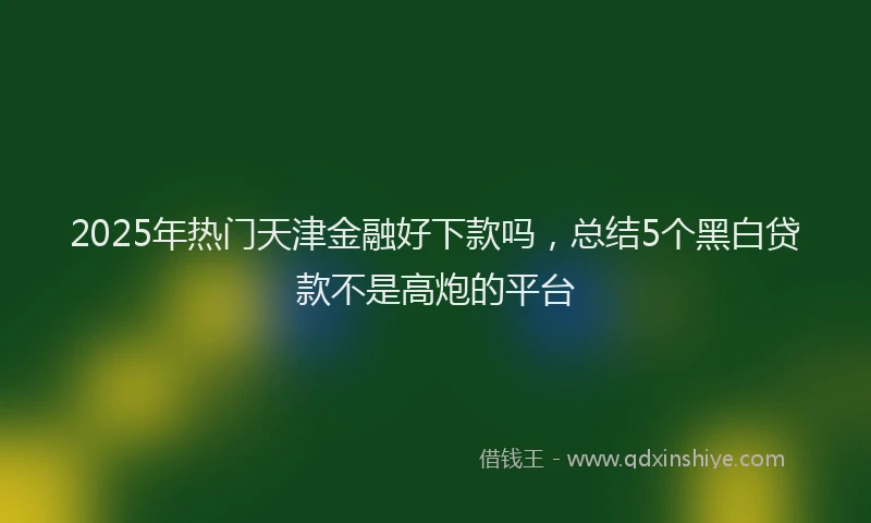 2025年热门天津金融好下款吗，总结5个黑白贷款不是高炮的平台