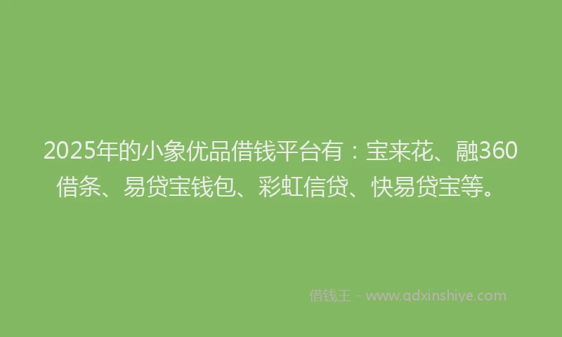 2025年的小象优品借钱平台有：宝来花、融360借条、易贷宝钱包、彩虹信贷、快易贷宝等。