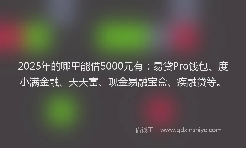 2025年的哪里能借5000元有：易贷Pro钱包、度小满金融、天天富、现金易融宝盒、疾融贷等。