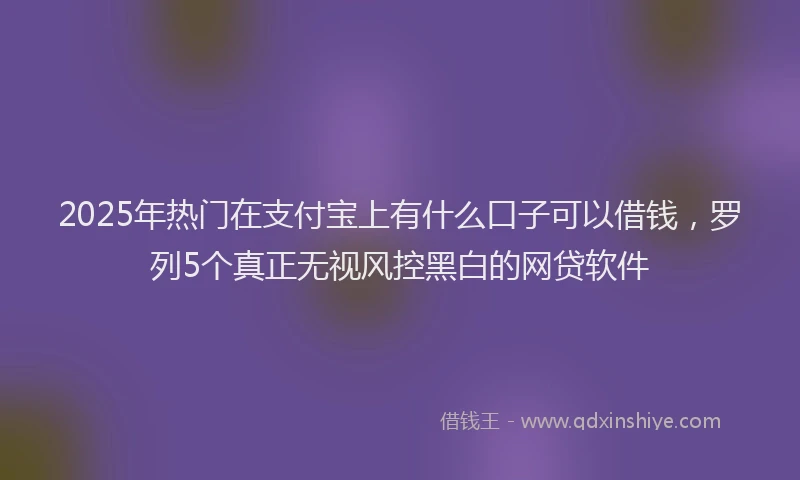 2025年热门在支付宝上有什么口子可以借钱，罗列5个真正无视风控黑白的网贷软件