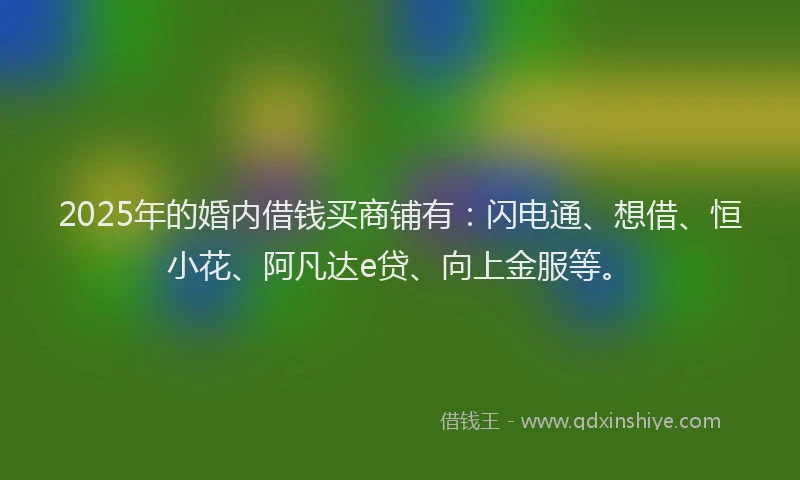 2025年的婚内借钱买商铺有：闪电通、想借、恒小花、阿凡达e贷、向上金服等。
