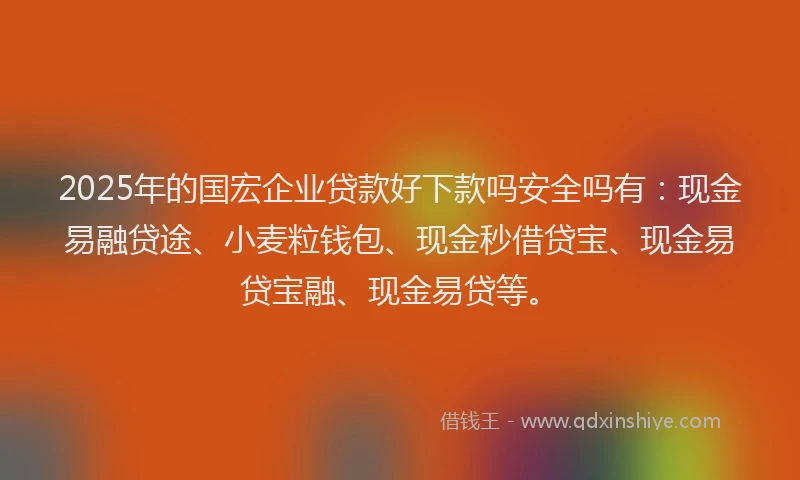 2025年的国宏企业贷款好下款吗安全吗有：现金易融贷途、小麦粒钱包、现金秒借贷宝、现金易贷宝融、现金易贷等。