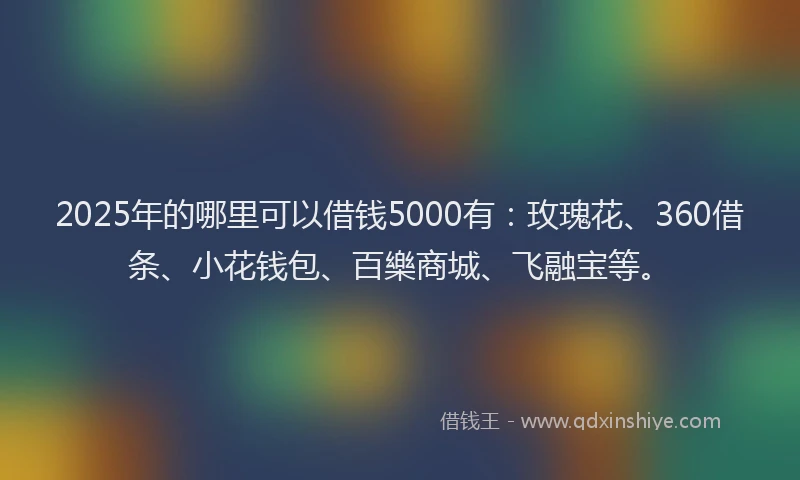 2025年的哪里可以借钱5000有：玫瑰花、360借条、小花钱包、百樂商城、飞融宝等。