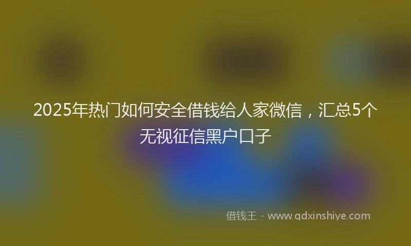 2025年热门如何安全借钱给人家微信，汇总5个无视征信黑户口子