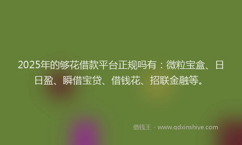 2025年的够花借款平台正规吗有：微粒宝盒、日日盈、瞬借宝贷、借钱花、招联金融等。