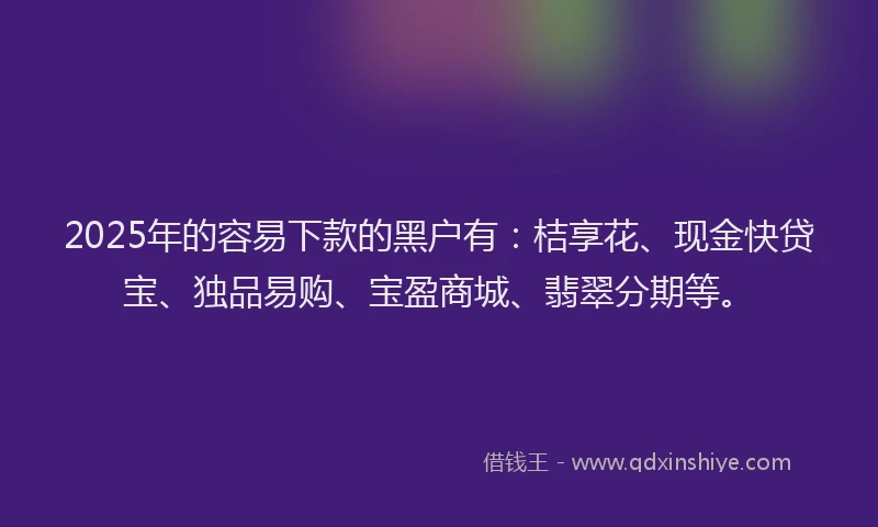 2025年的容易下款的黑户有：桔享花、现金快贷宝、独品易购、宝盈商城、翡翠分期等。