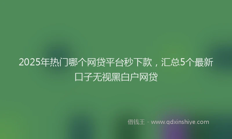 2025年热门哪个网贷平台秒下款，汇总5个最新口子无视黑白户网贷