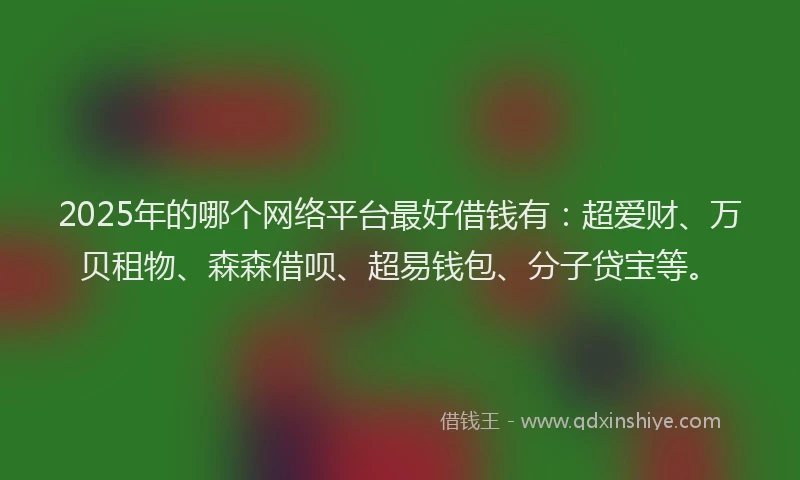 2025年的哪个网络平台最好借钱有：超爱财、万贝租物、森森借呗、超易钱包、分子贷宝等。