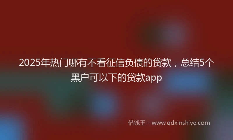 2025年热门哪有不看征信负债的贷款，总结5个黑户可以下的贷款app
