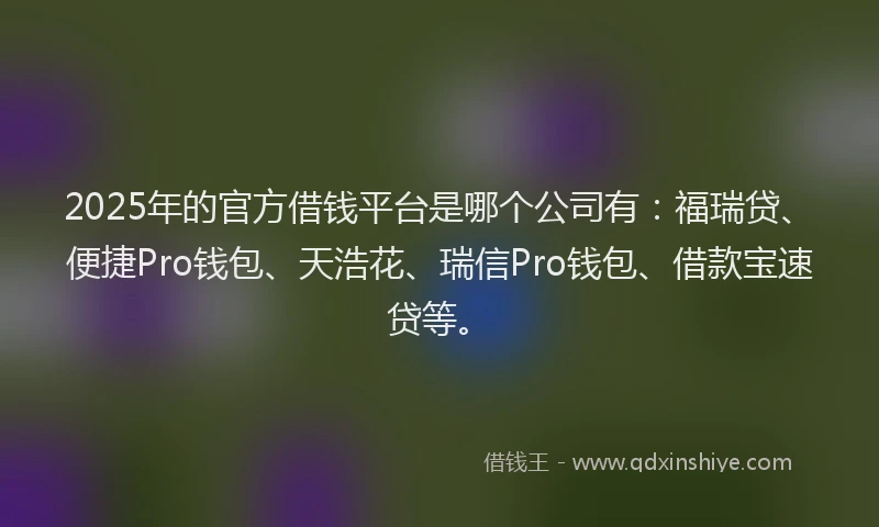 2025年的官方借钱平台是哪个公司有：福瑞贷、便捷Pro钱包、天浩花、瑞信Pro钱包、借款宝速贷等。