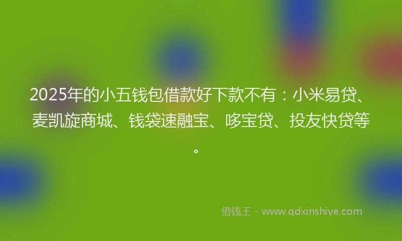 2025年的小五钱包借款好下款不有：小米易贷、麦凯旋商城、钱袋速融宝、哆宝贷、投友快贷等。