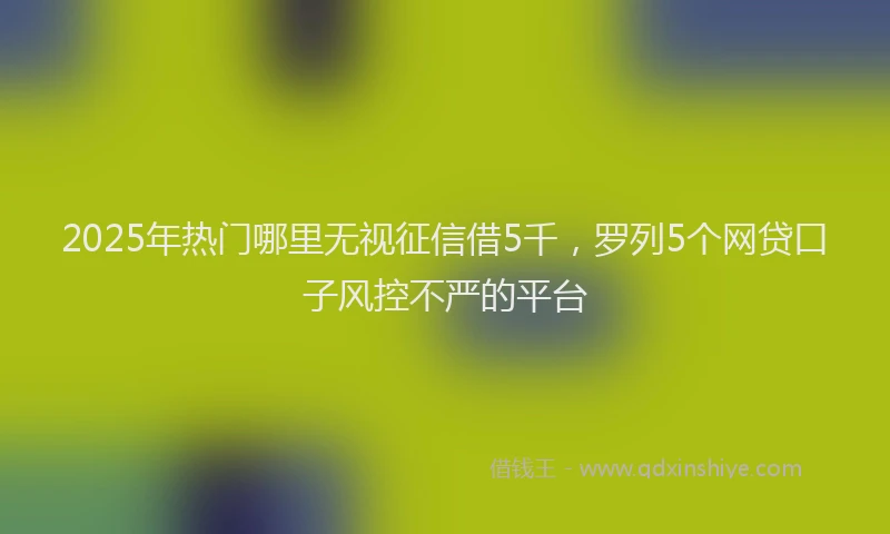 2025年热门哪里无视征信借5千，罗列5个网贷口子风控不严的平台