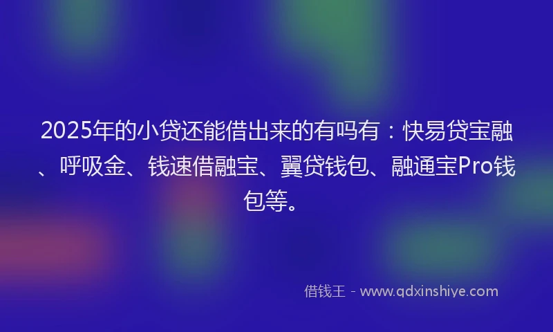 2025年的小贷还能借出来的有吗有：快易贷宝融、呼吸金、钱速借融宝、翼贷钱包、融通宝Pro钱包等。