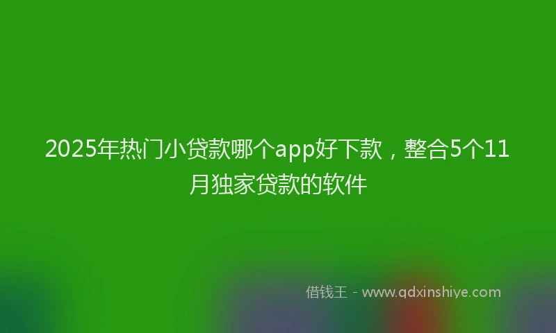 2025年热门小贷款哪个app好下款，整合5个11月独家贷款的软件
