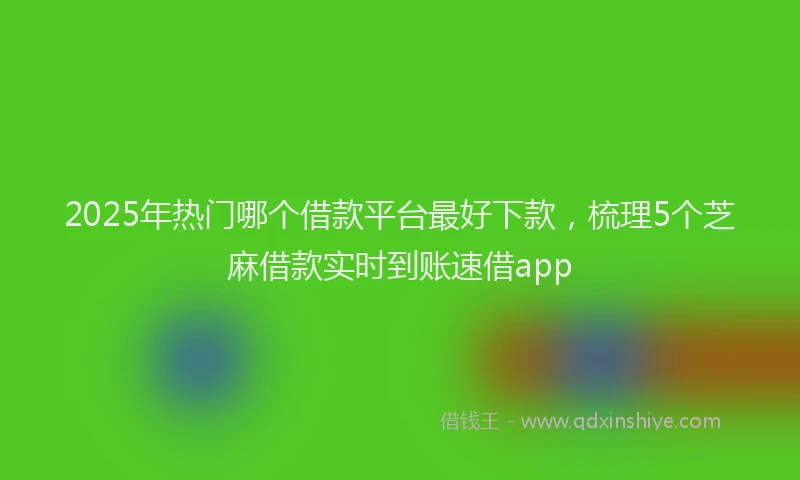 2025年热门哪个借款平台最好下款，梳理5个芝麻借款实时到账速借app
