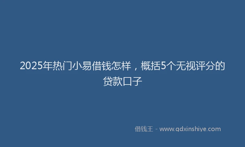 2025年热门小易借钱怎样,概括5个无视评分的贷款口子