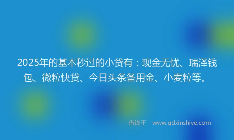 2025年的基本秒过的小贷有：现金无忧、瑞泽钱包、微粒快贷、今日头条备用金、小麦粒等。
