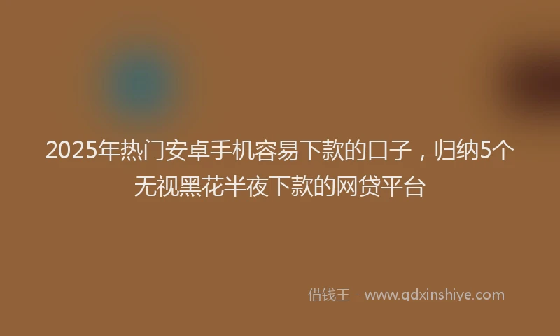 2025年热门安卓手机容易下款的口子，归纳5个无视黑花半夜下款的网贷平台