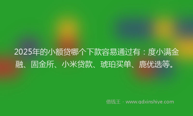 2025年的小额贷哪个下款容易通过有：度小满金融、固金所、小米贷款、琥珀买单、鹿优选等。