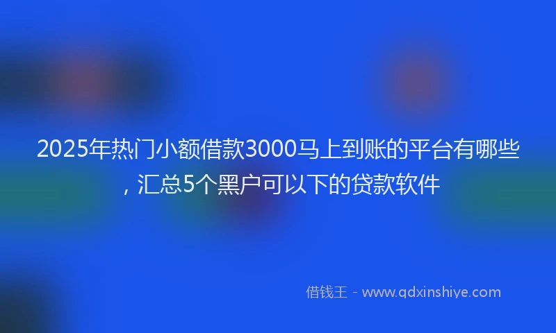 2025年热门小额借款3000马上到账的平台有哪些，汇总5个黑户可以下的贷款软件